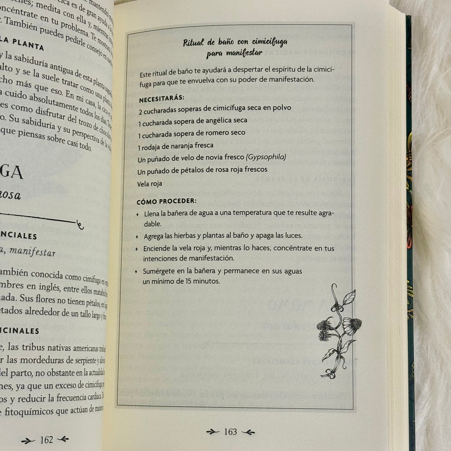 La Brujería de las Plantas: Descubre la Sabiduría, la Magia y el Lenguaje Sagrado de 200 Plantas