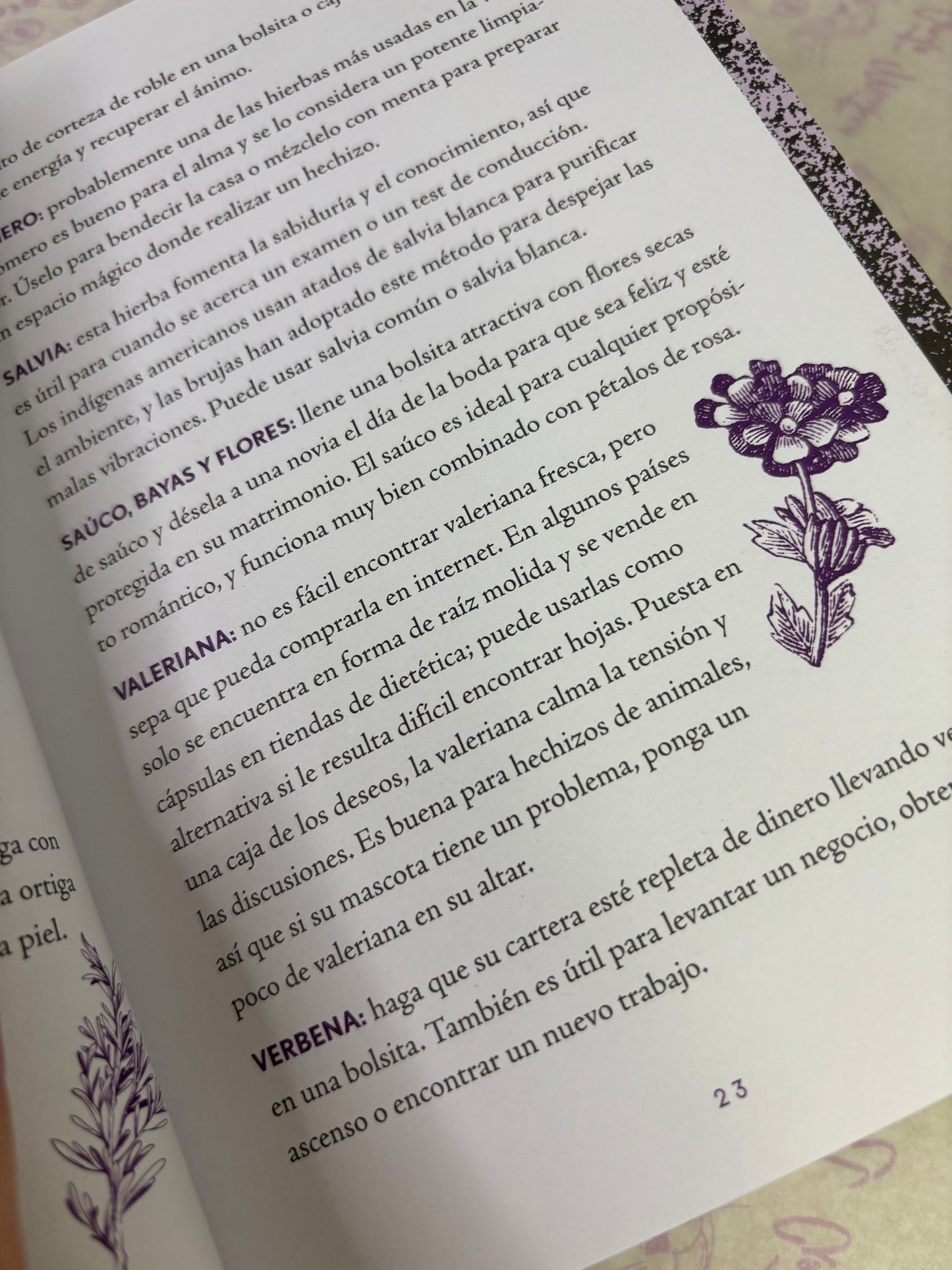 Wiccapedia Diario - El libro de las Sombras