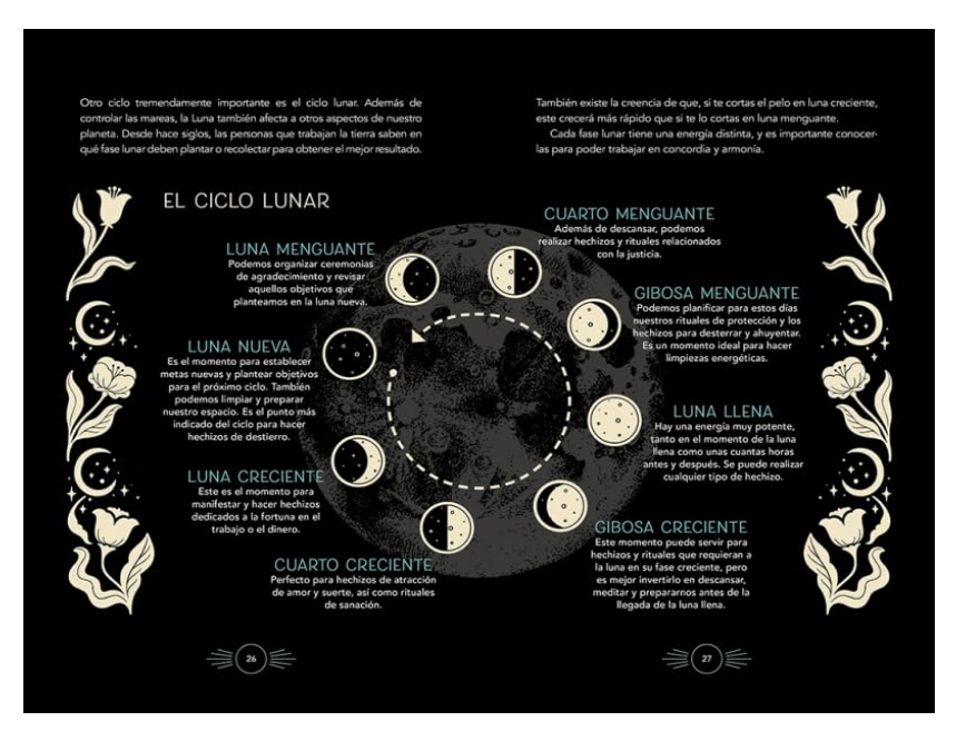 The Novice Witch's Handbook