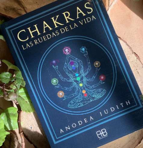 Chakras: Las ruedas de la vida