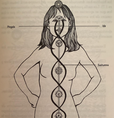 Chakras: Las ruedas de la vida