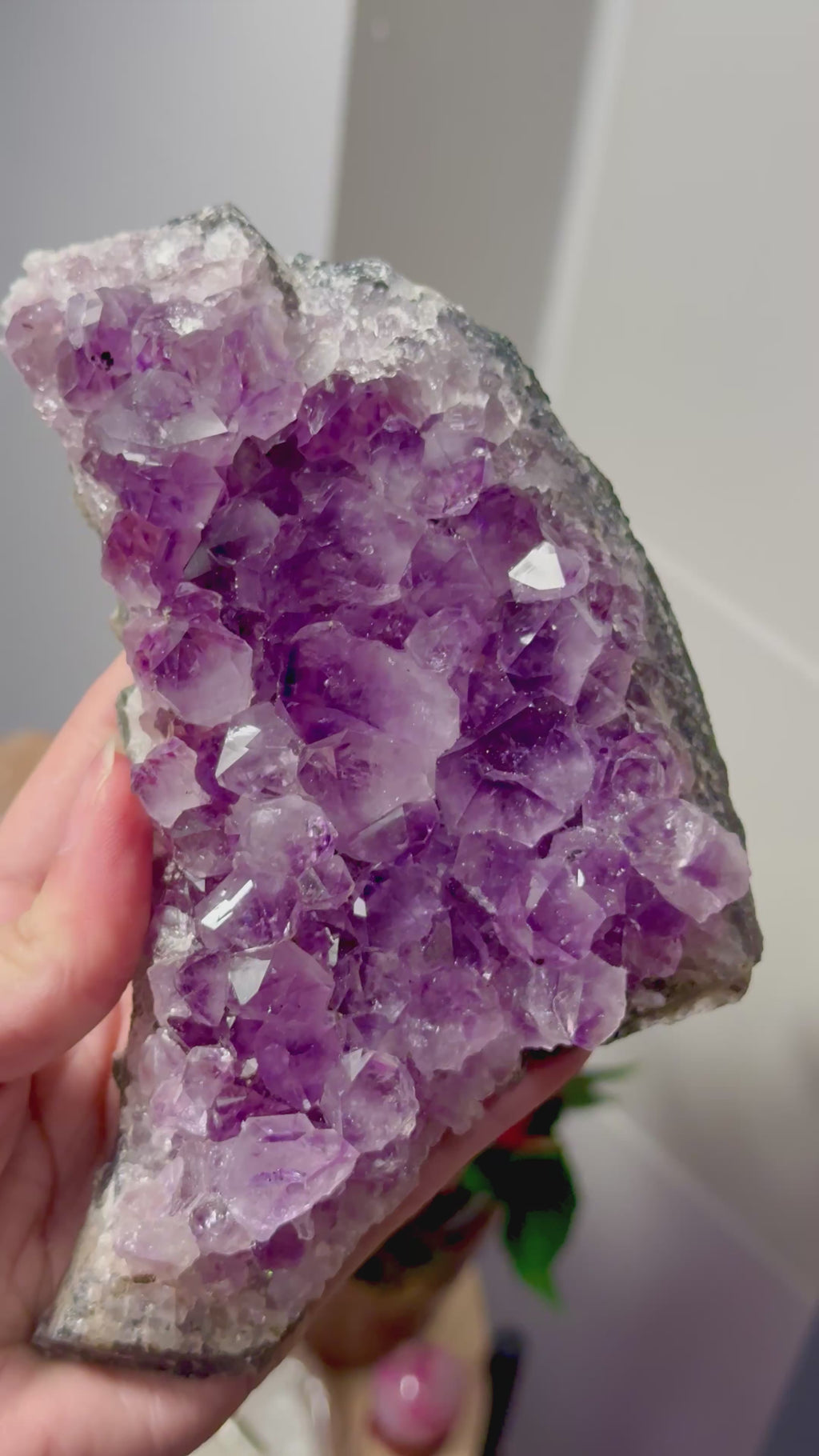 Drusa de Amatista 750g | Calidad Extra | Transmutación y Calma